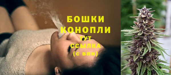 МДПВ Пересвет