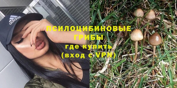 синтетический гашиш Алексин