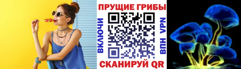 OMG зеркало  наркота  Аргун  Галлюциногенные грибы мицелий 