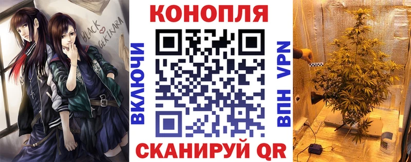 кракен зеркало Аргун площадка Telegram Марихуана индика